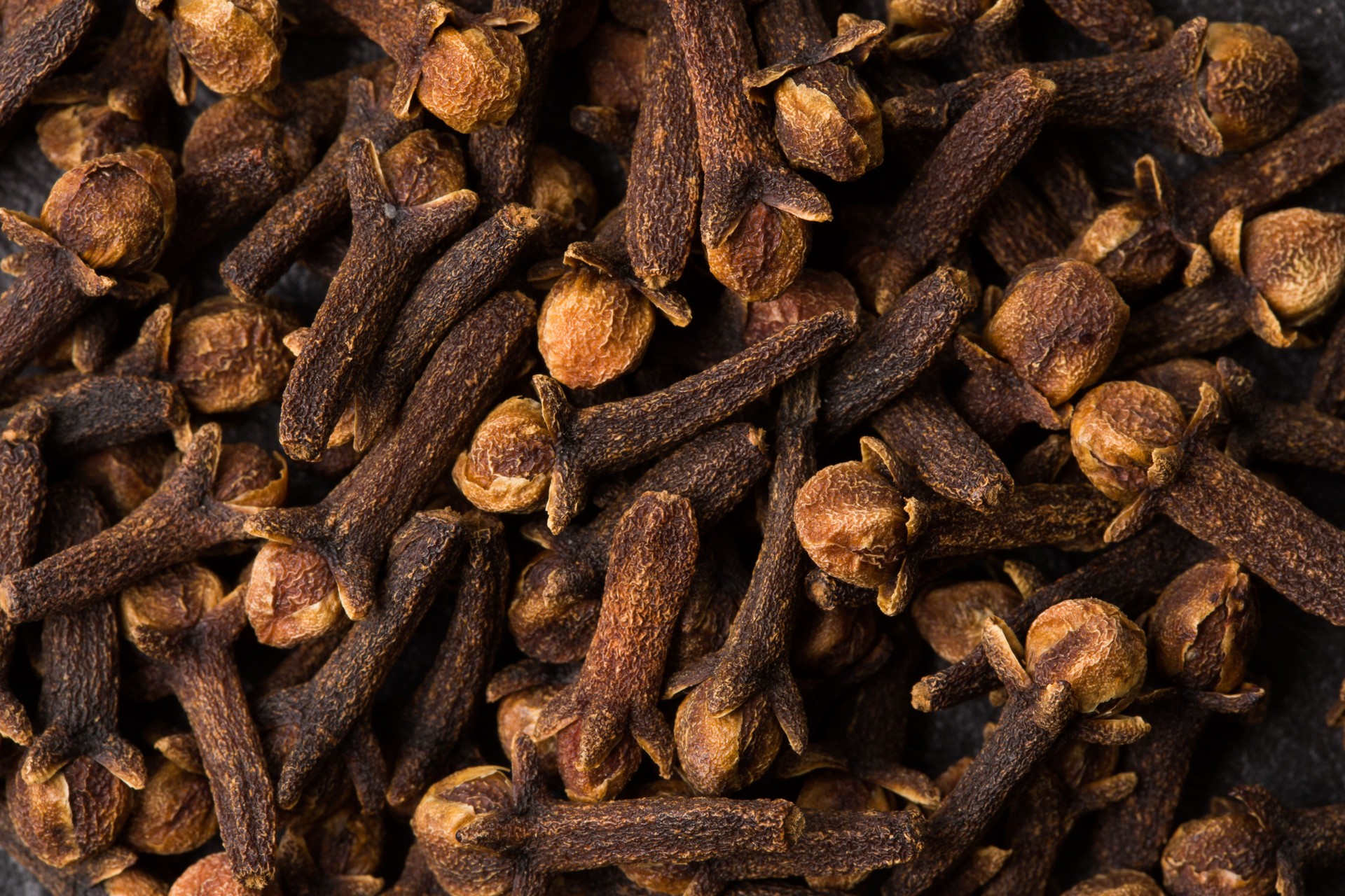 Clove Bud